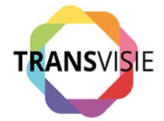 Transvisie